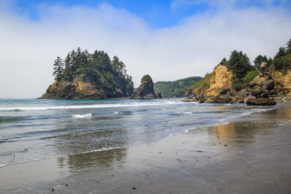 Shoreline with large rock island covered in trees