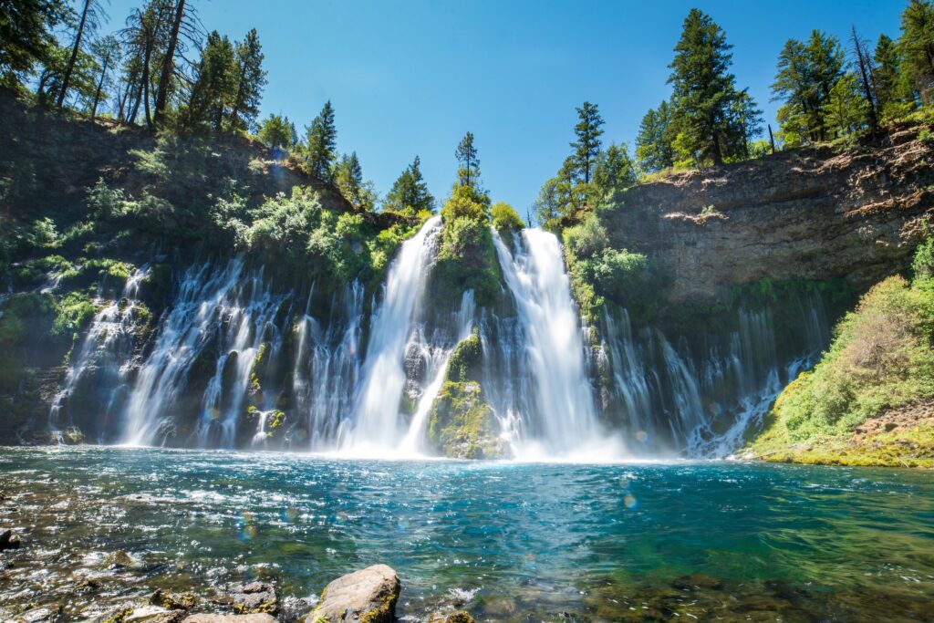 Waterfall cascading between trees into receiving pool